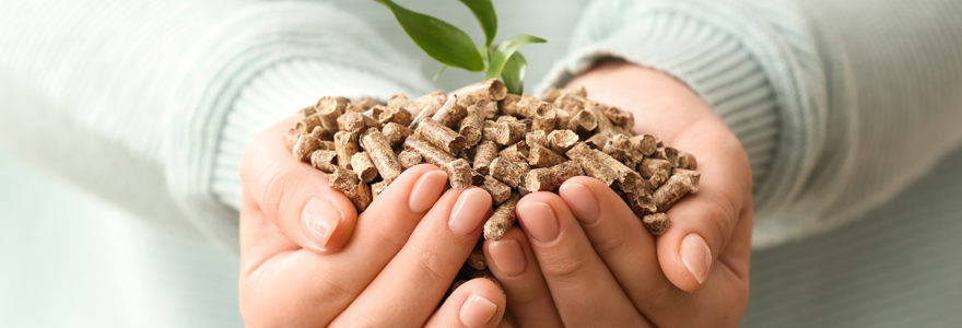 pellets de bois